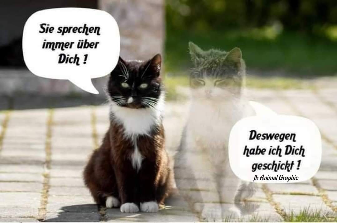 Ein wunderschönes Bild mit unbestreitbarem Tiefgang.